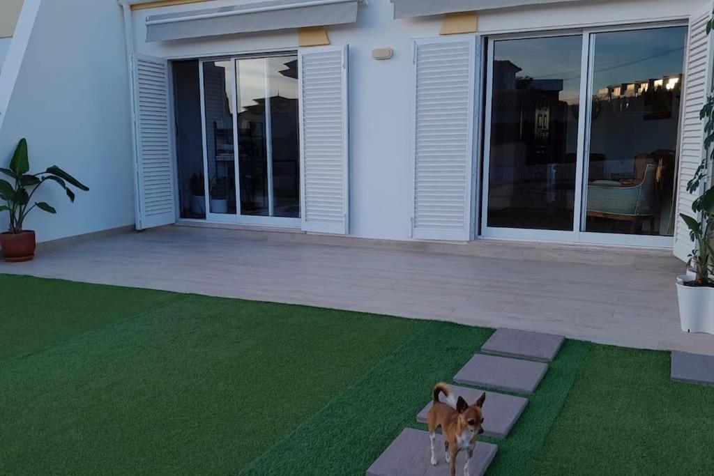 Willa Gale Premium House - Pet Friendly Albufeira Zewnętrze zdjęcie