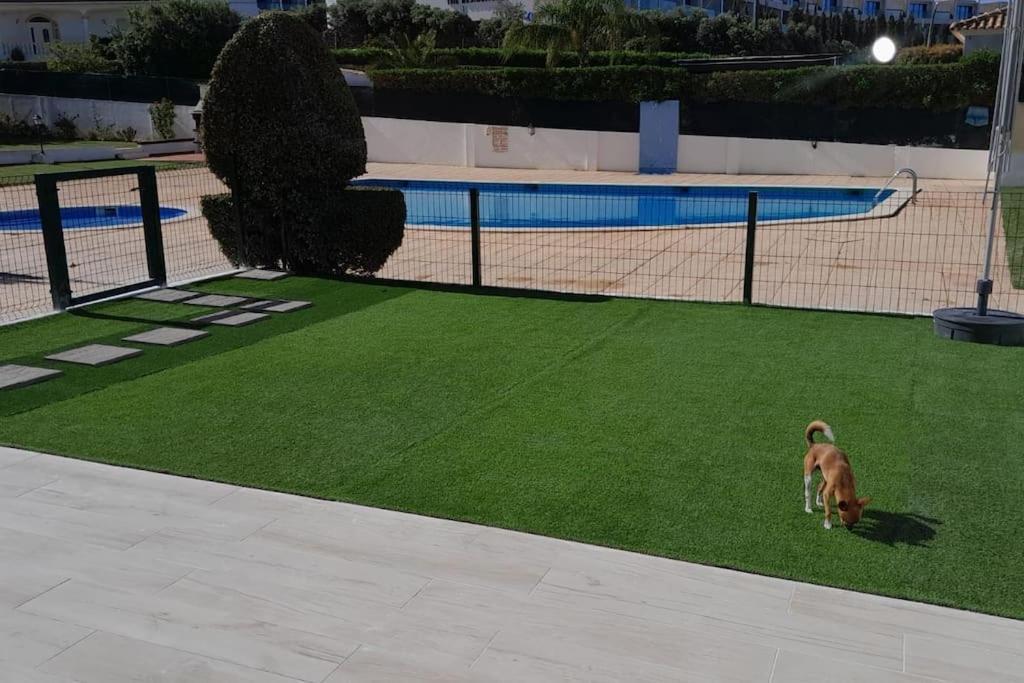 Willa Gale Premium House - Pet Friendly Albufeira Zewnętrze zdjęcie